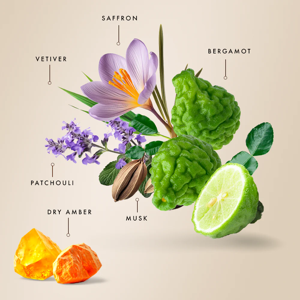 Saffron Musk / Amber Leather Parfum - Gift Box - Image 5